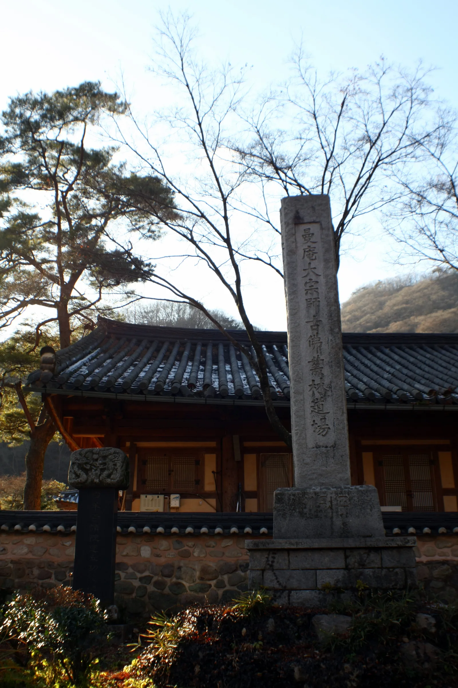백양사 경내에 세워진 만암대종사 고불총림도량비 석비, 뒤로 기와지붕 전각과 잎이 진 나무가 보인다