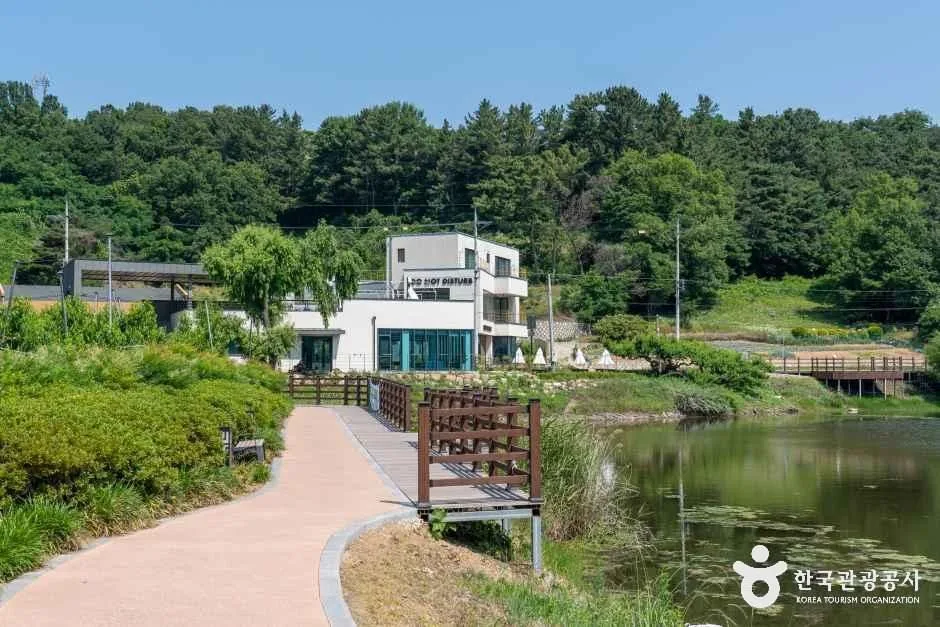 저수지 가의 산책로와 흰 건물, 초록 나무가 보이는 모습