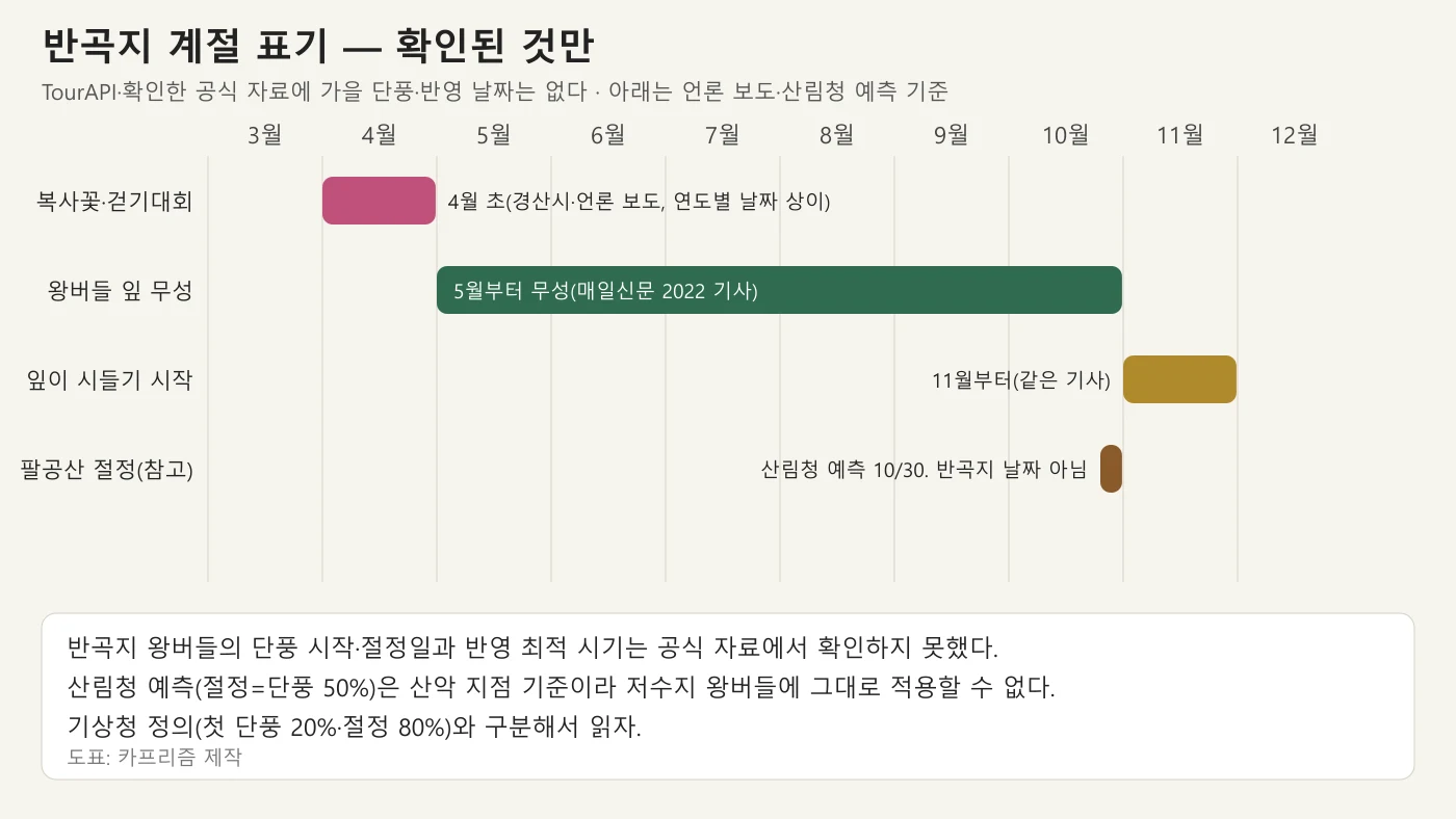 월별로 복사꽃·왕버들 잎·잎 시듦·팔공산 절정 예측을 표시한 반곡지 계절 도표