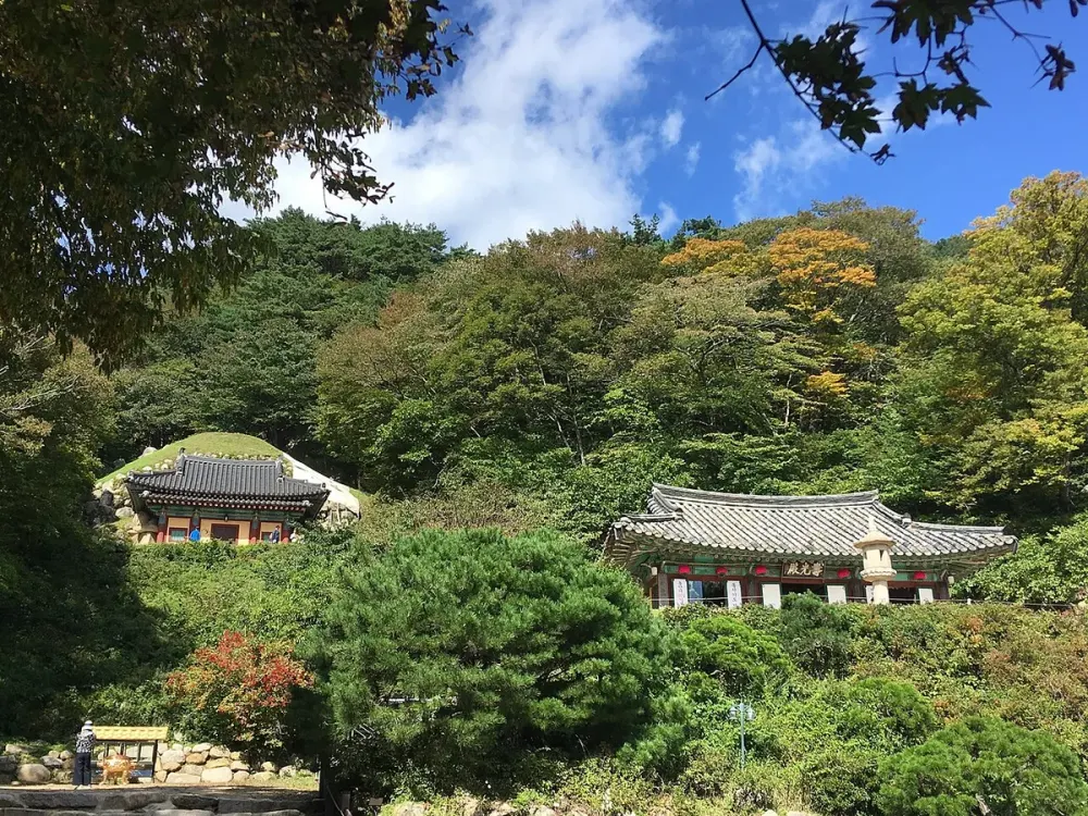 숲 사이로 석굴암 전각 지붕과 수광전 건물이 보이는 풍경
