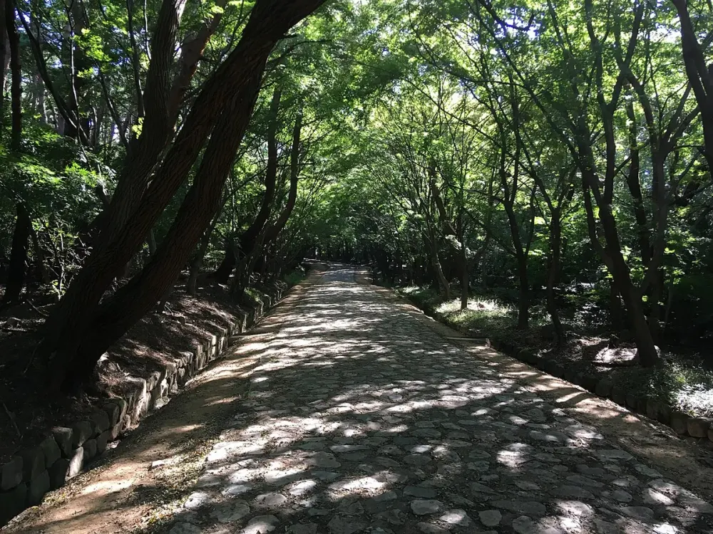 나무 그늘이 드리운 불국사와 석굴암 사이의 돌 포장 길