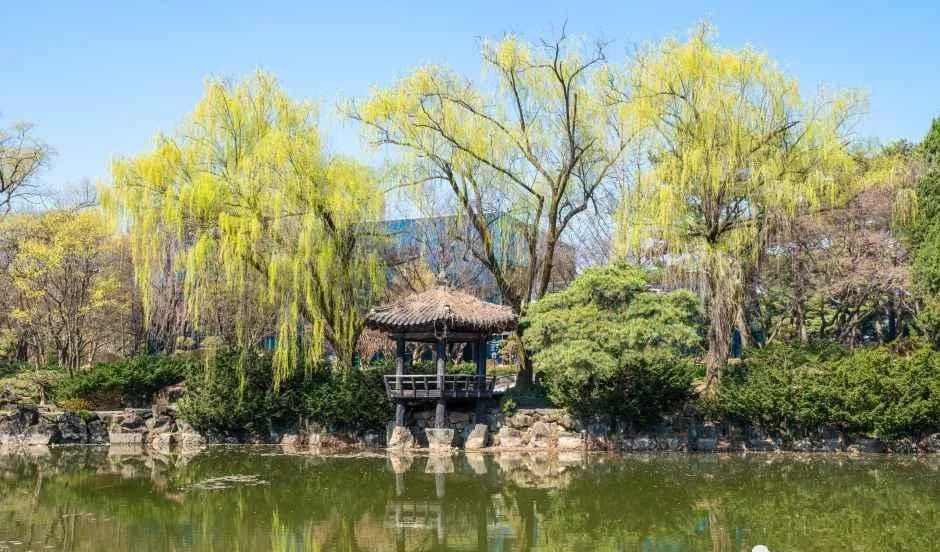 수양버들이 늘어진 연못 가장자리에 초가 지붕을 얹은 정자가 서 있는 풍경