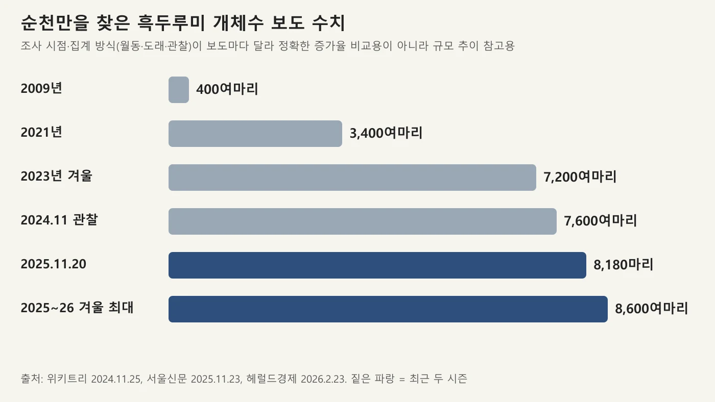 순천만 흑두루미 개체수 보도 수치 막대그래프