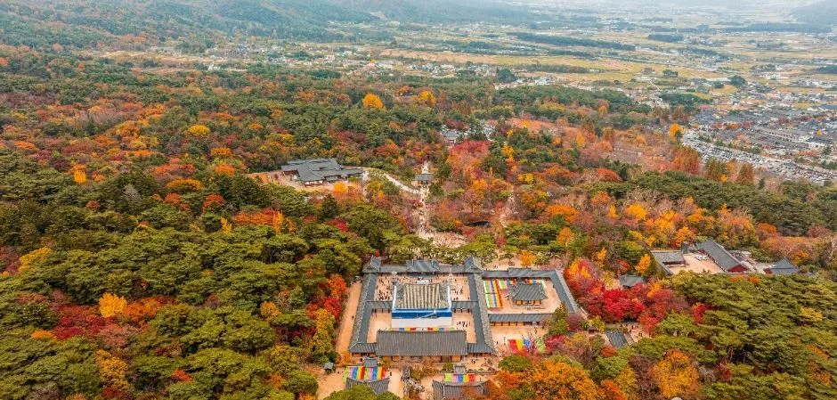 붉고 노란 단풍이 든 숲에 둘러싸인 불국사 전경