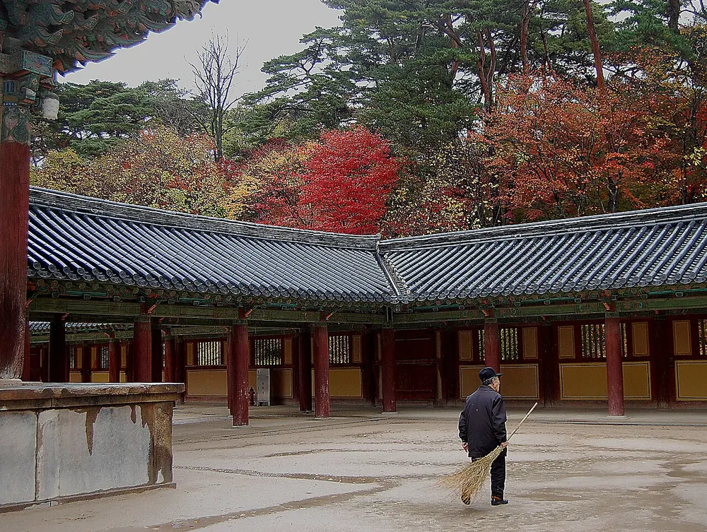 붉은 단풍나무 아래 불국사 경내 마당을 빗자루로 쓰는 사람