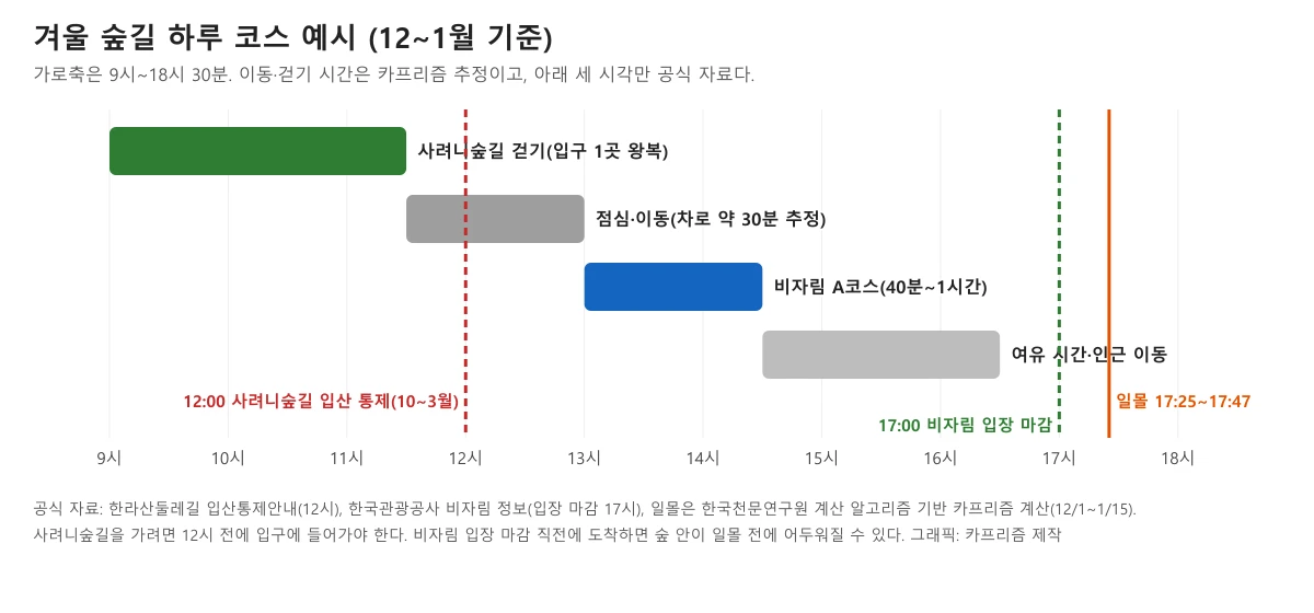 사려니숲길 입산 통제 12시, 비자림 입장 마감 17시, 일몰 시각을 겹쳐 그린 겨울 하루 코스 도표