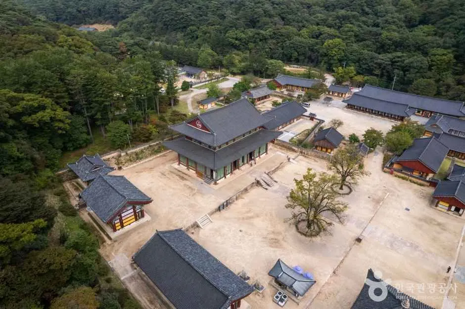 숲으로 둘러싸인 법주사 경내를 위에서 내려다본 모습