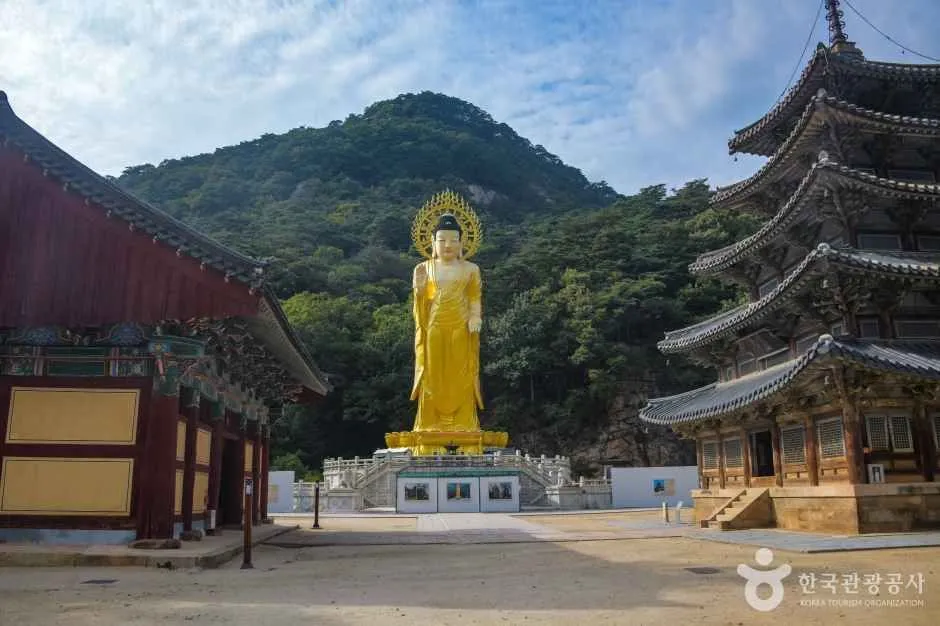 법주사 금동미륵대불과 팔상전 일부