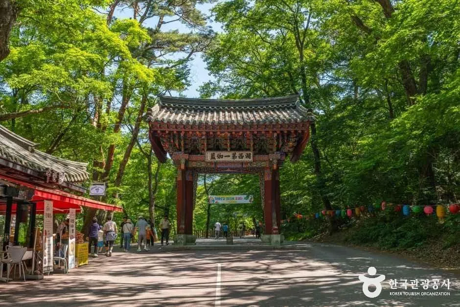 "대추 먹고 단풍 보고"… 보은대추축제 10/16~25, 속리산 단풍 절정은 폐막 3일 뒤