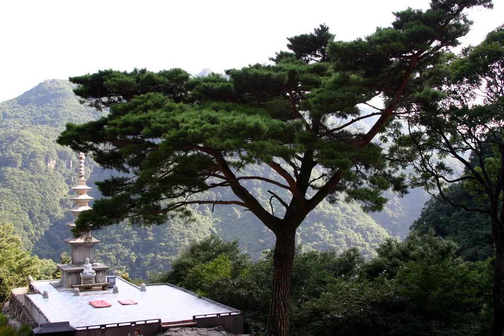 "입장료도 주차도 공짜"… 봉화 청량산, 12봉우리가 감싸안은 천년고찰 청량사 가는 법