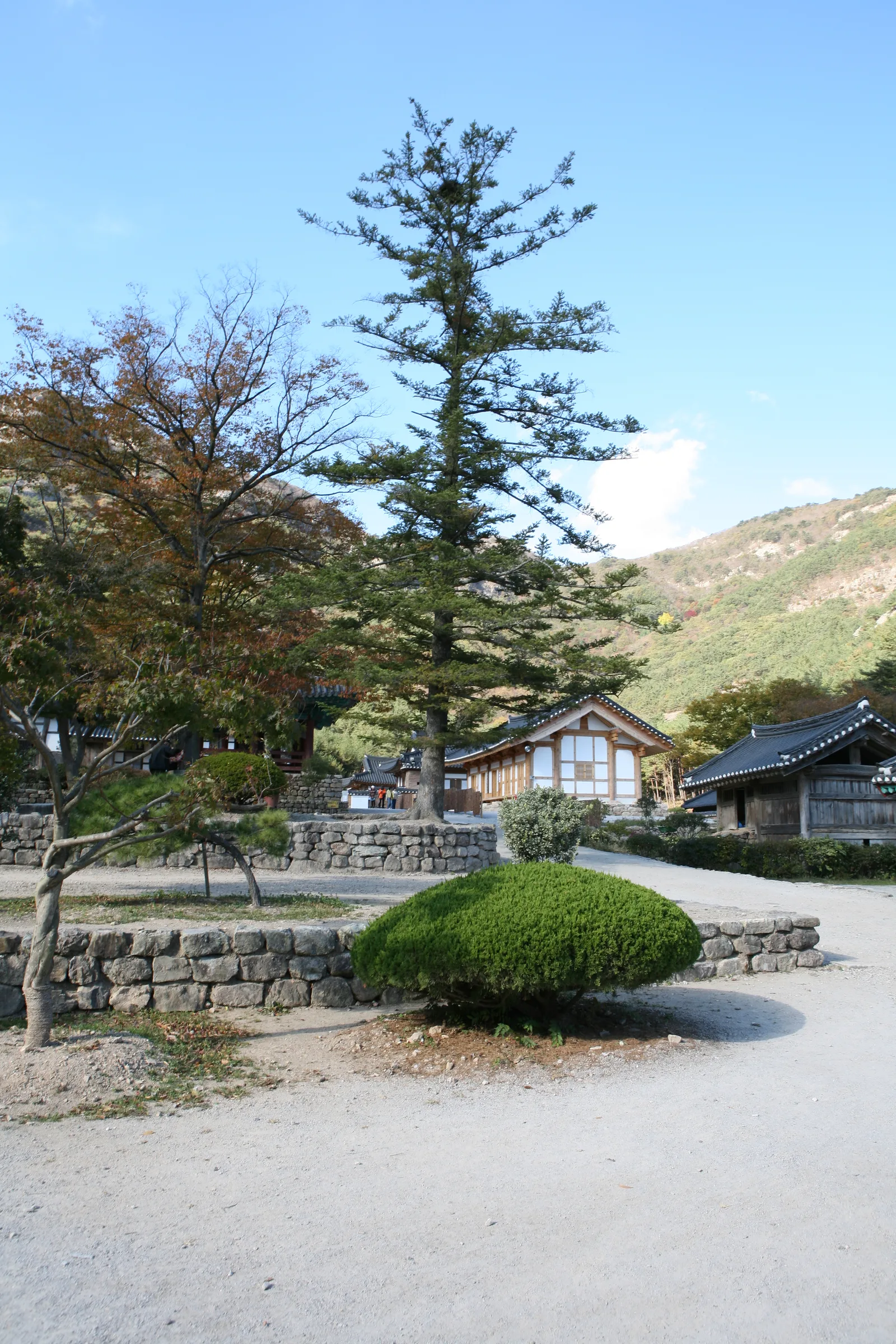 내소사 전나무숲길이 끝나는 지점의 넓은 마당과 주변 전각들