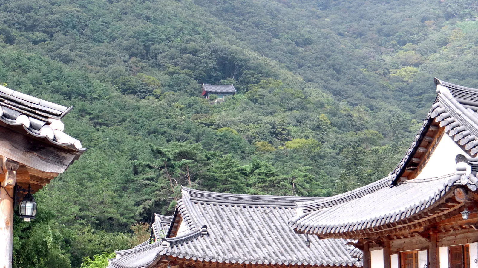 울창한 산줄기에 둘러싸여 전각 지붕만 보이는 내소사 전경