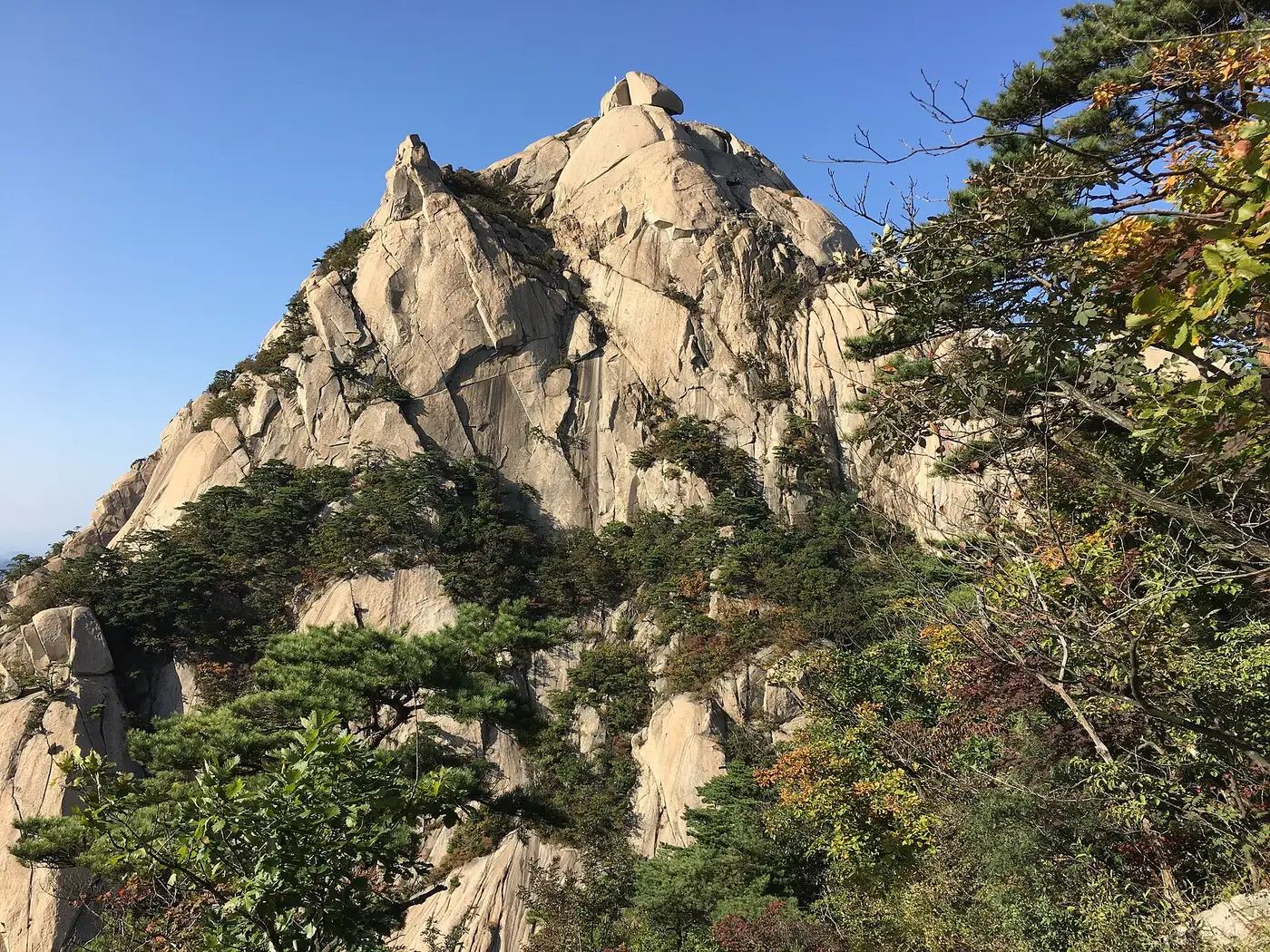 아직 푸른 소나무와 일부 주황 잎 사이로 솟은 북한산 화강암 암봉