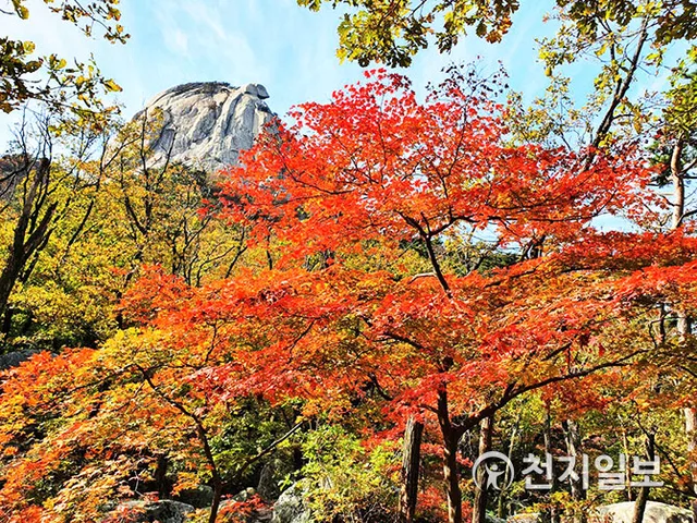 북한산 암봉과 단풍이 어우러진 능선 풍경