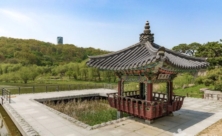 연못가에 서 있는 전통 정자와 멀리 보이는 전망대 타워