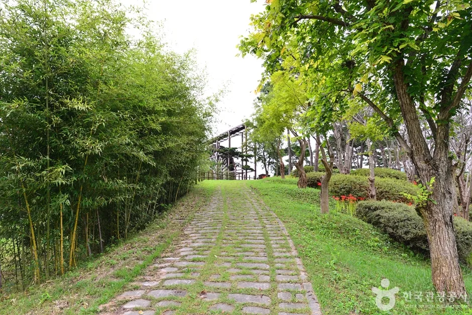 영광불갑테마공원 내 대나무숲 산책로와 전망대로 이어지는 돌길