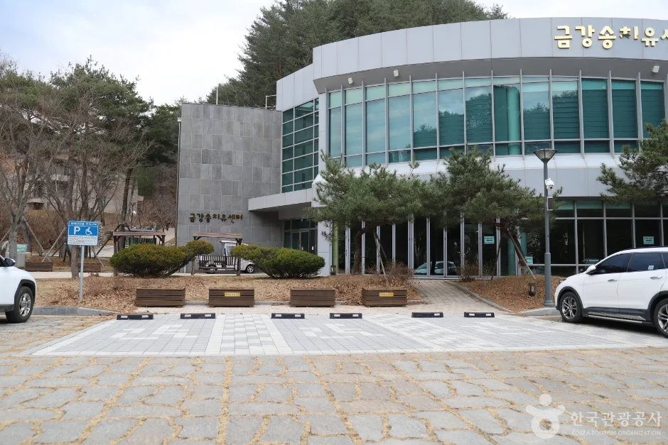유리 외벽 건물 앞에 광장과 주차된 차량이 보이는 전시관 외관