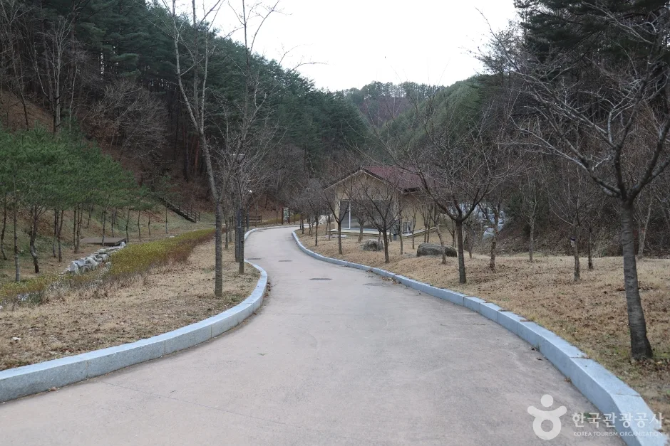 낙엽 진 나무 사이로 포장된 완만한 산책로가 이어지는 모습