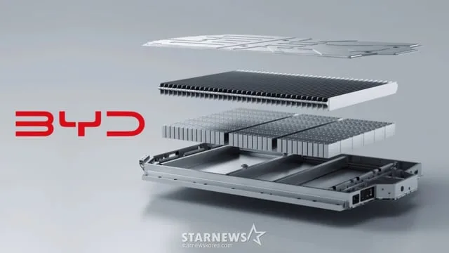 BYD 블레이드 배터리 구조 다이어그램