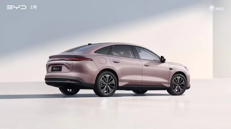 BYD 친맥스 후측면