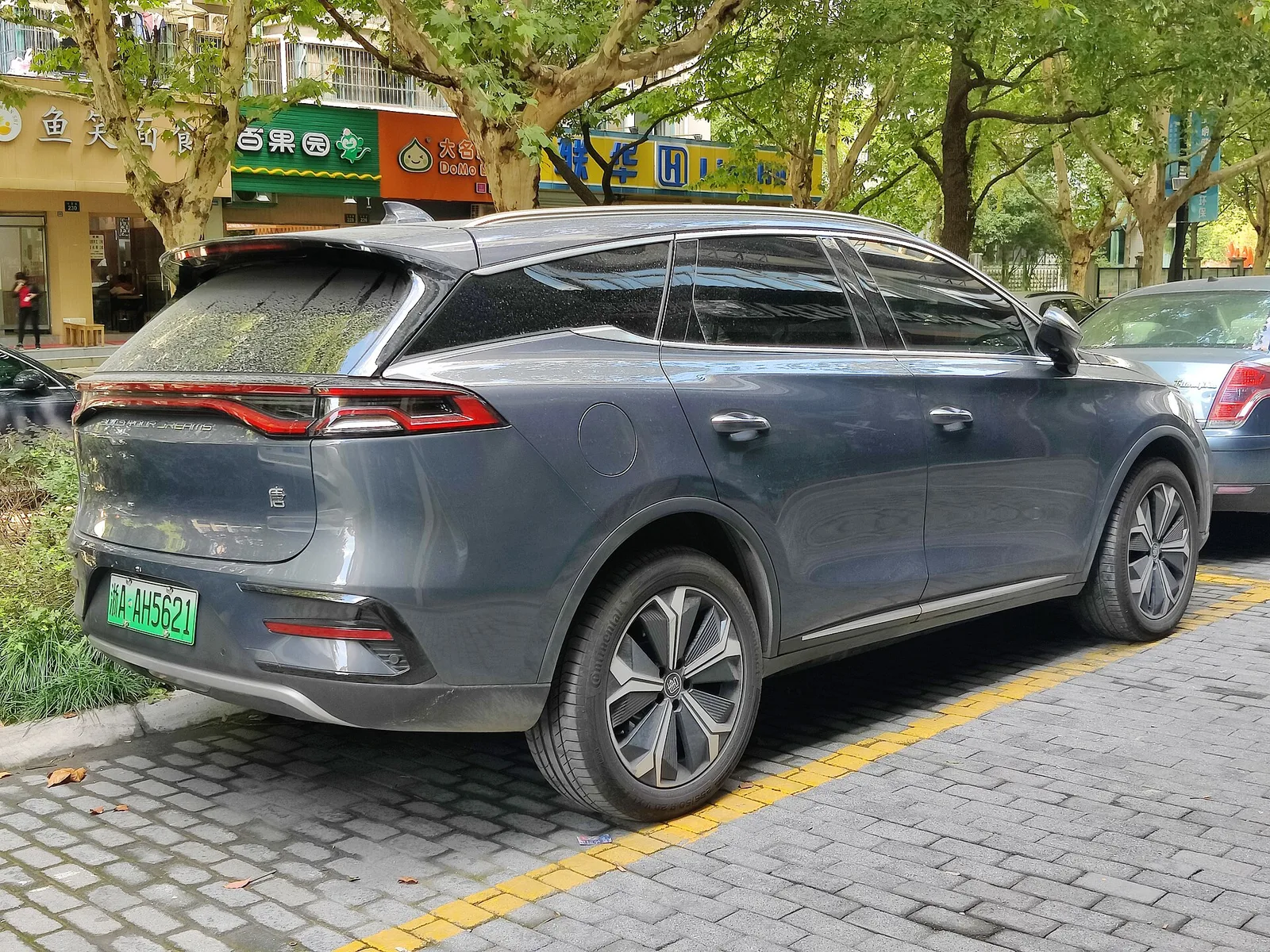 BYD 탕 전기 모델