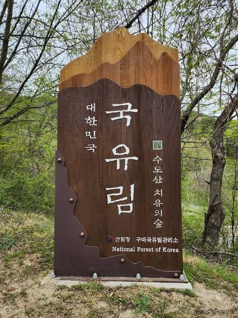 수도산 치유의숲이라고 적힌 국유림 안내 목재 표지판