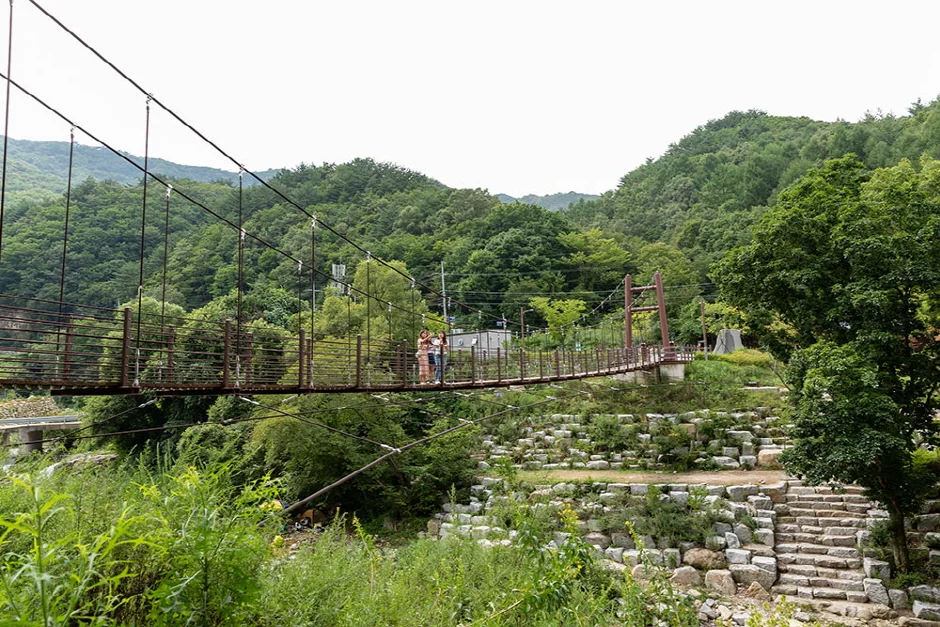 숲 골짜기에 걸린 출렁다리와 건너는 사람들