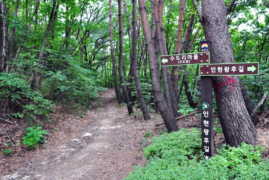 나무 이정표가 서 있는 숲길 산책로