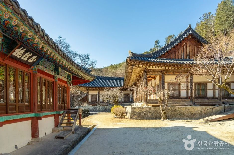 붉은 기둥의 전각 앞 넓은 마당이 보이는 청암사 경내