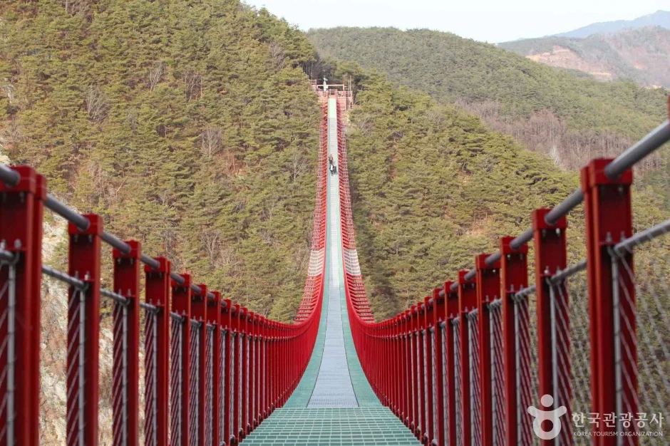 붉은 난간 사이로 길게 뻗은 출렁다리 바닥과 양쪽 숲