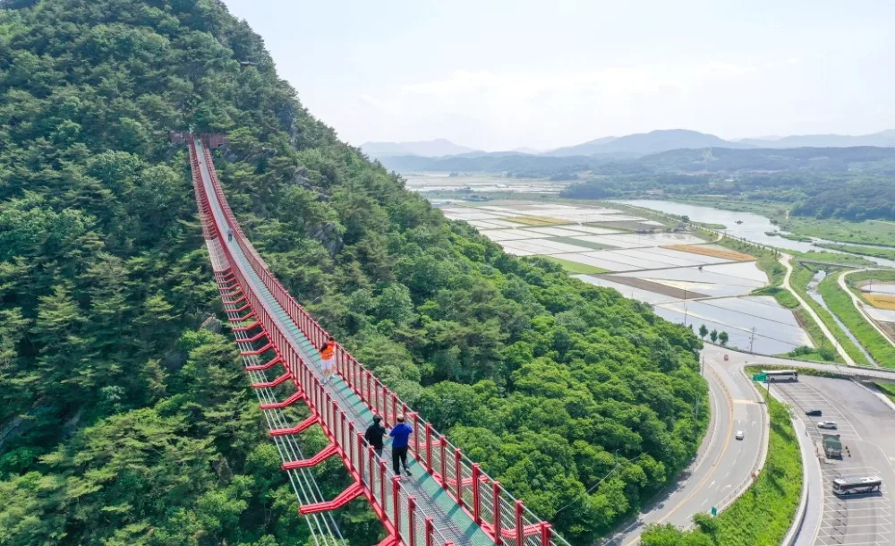 채계산 출렁다리를 옆에서 내려다본 항공뷰, 다리를 건너는 등산객들과 뒤로 펼쳐진 적성강변 논밭, 국도 24호선 도로