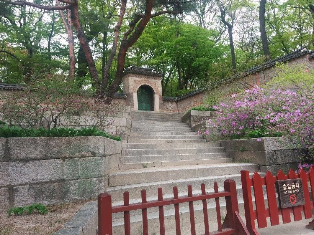 창덕궁 후원 내 돌계단과 붉은 문, 주변에 핀 진달래꽃