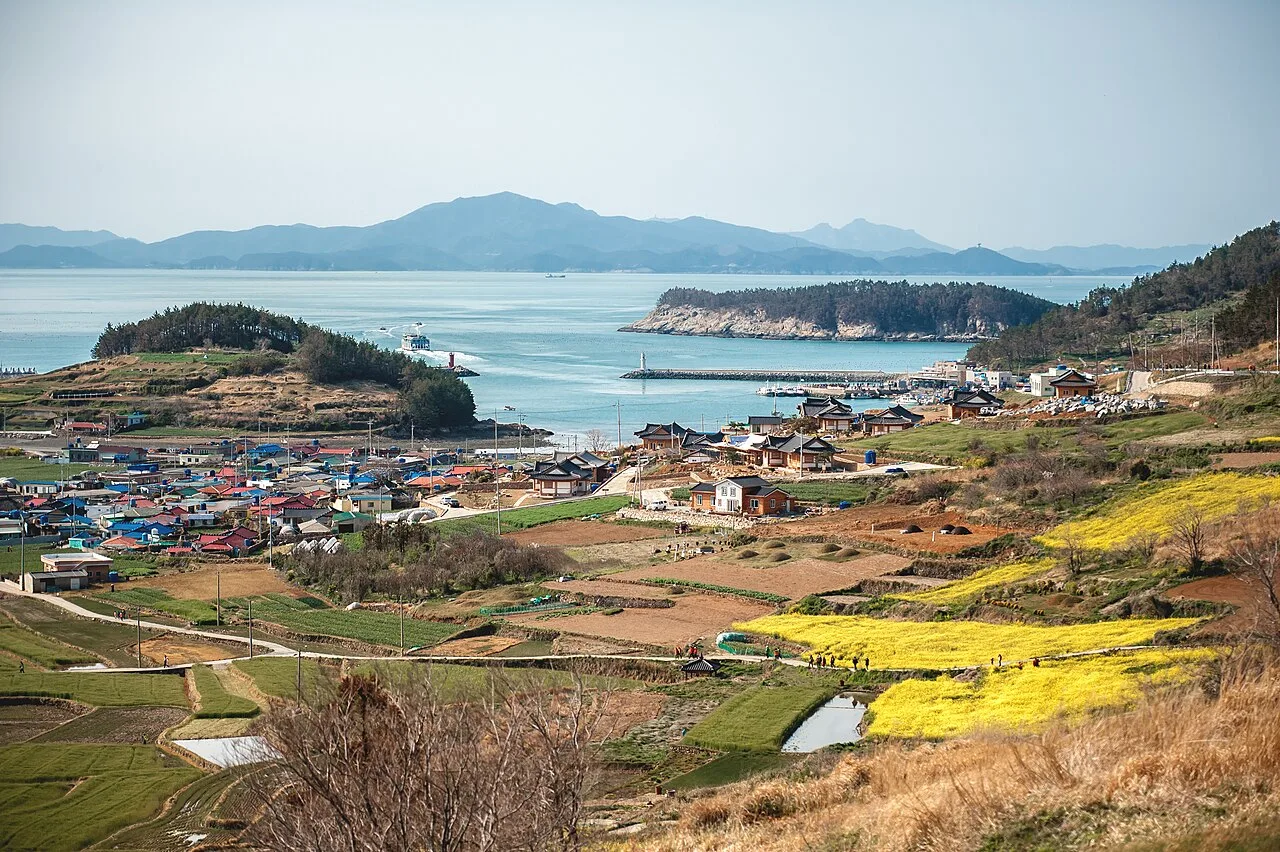 청산도 도청항 인근 포구와 유채꽃밭, 배가 드나드는 항구 전경