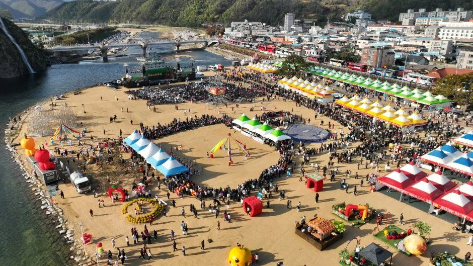 용전천 변 모래밭에 천막 부스와 인파가 모인 청송사과축제 항공 사진