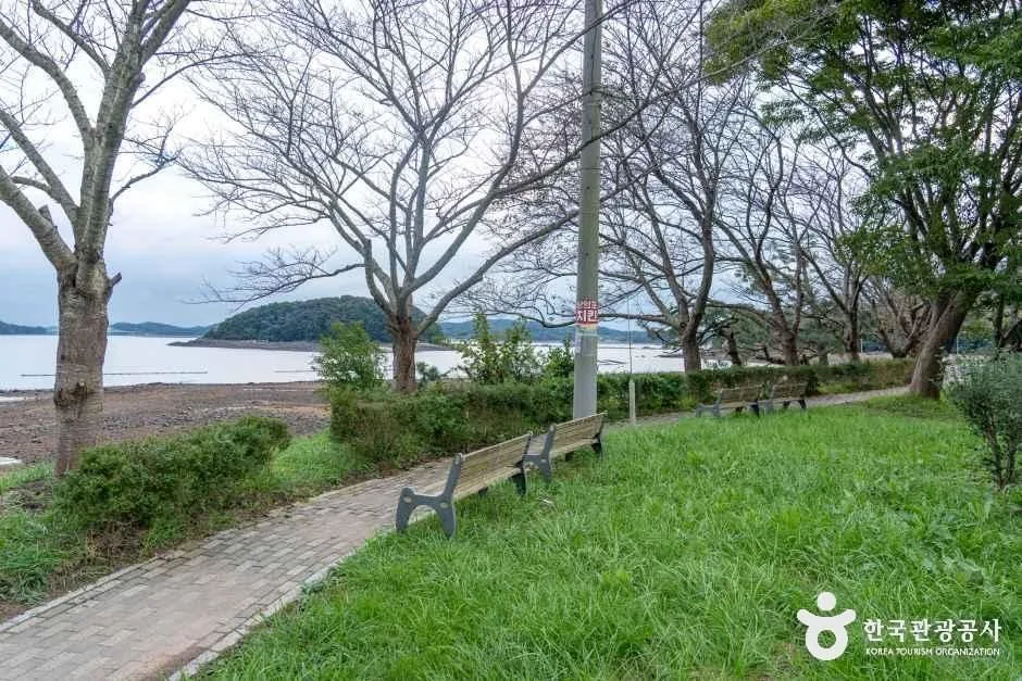 나무가 늘어선 간월호 쉼터공원 산책로와 벤치