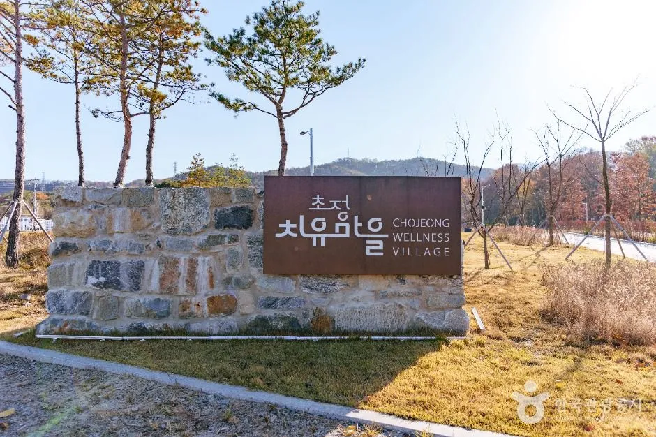 돌벽에 초정치유마을 글자가 새겨진 입구 표지석