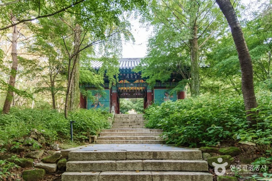 숲 사이 돌계단 끝에 문이 보이는 수덕사 일대