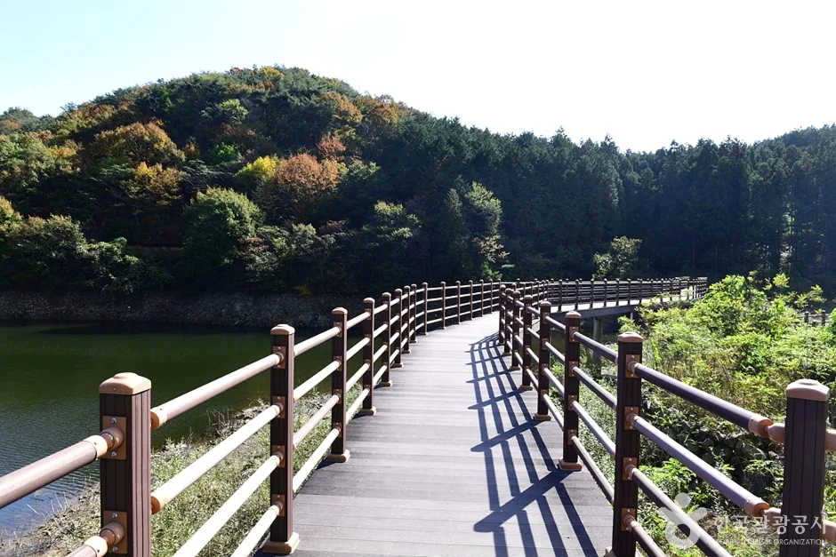 저수지 가장자리를 따라 이어지는 목재 데크