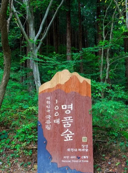 초록 숲 속에 세워진 명품숲 표지석