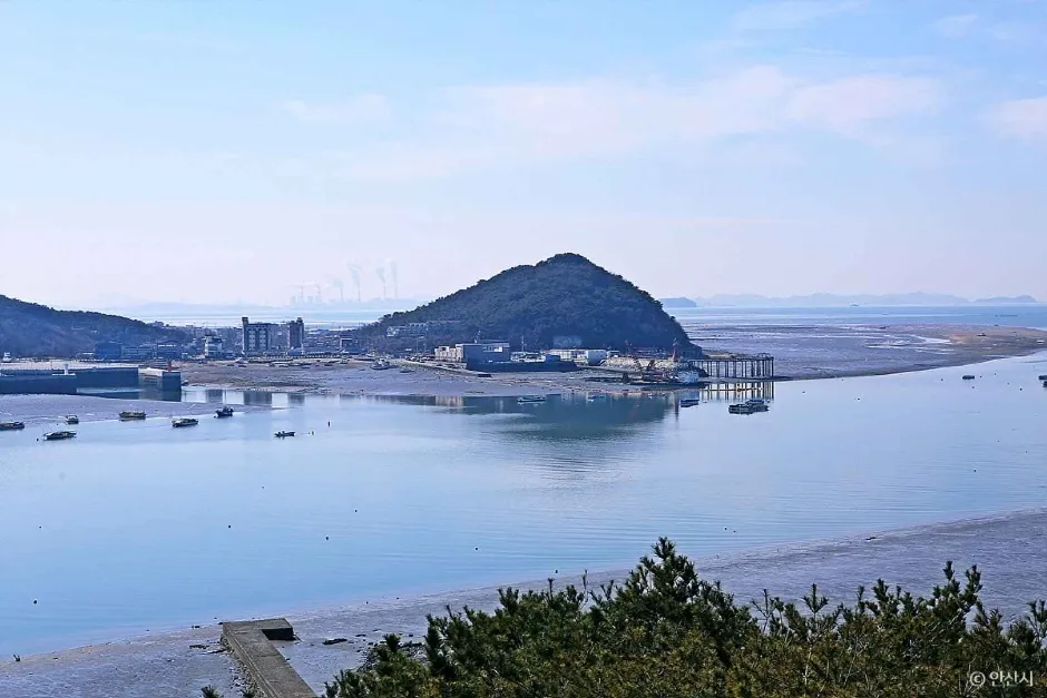 전망대 쪽에서 내려다본 물에 잠긴 갯벌과 언덕 위 섬