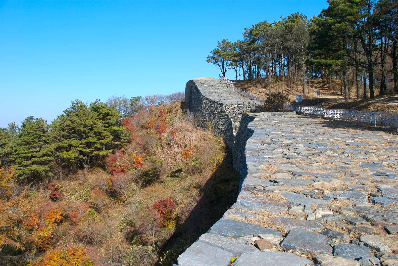 계족산성 성벽 위 돌길, 가을 단풍이 든 진달래과 관목이 성벽 주변에 붉게 물들어 있고 뒤로 소나무 숲이 우거져 있다