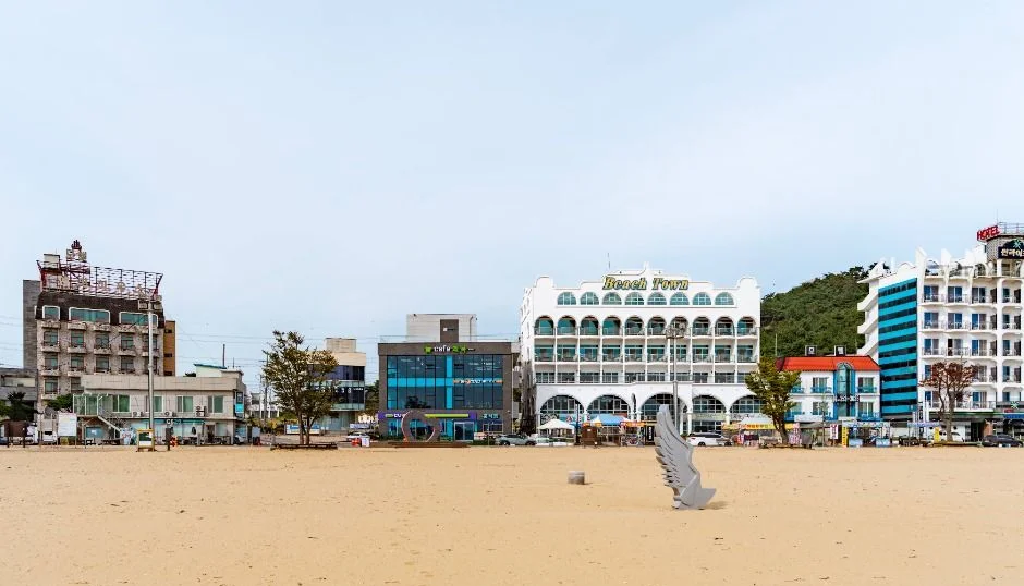 왜목마을 모래 해변과 해변 앞 숙박·상가 건물