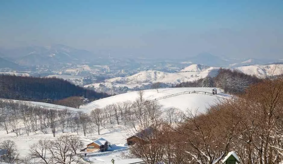 눈 덮인 능선 너머로 멀리 산과 마을이 내려다보이는 대관령 설경