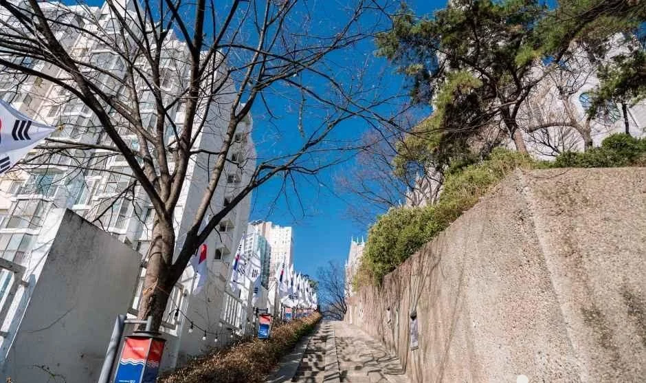 태극기가 걸린 담장 옆 내리막 골목과 도심 아파트가 보이는 풍경
