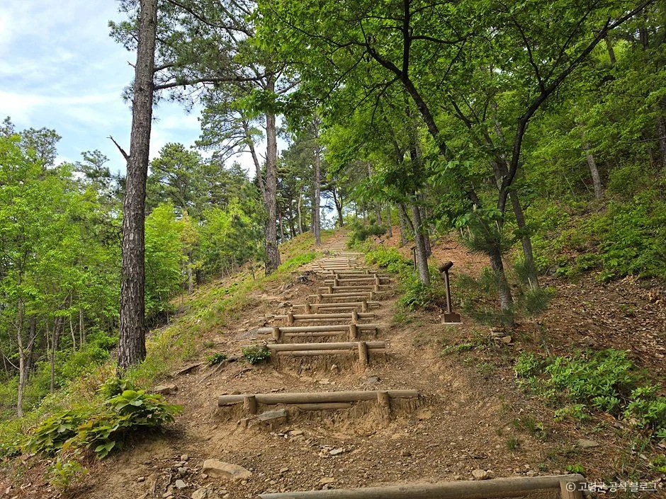 숲속 나무 계단이 이어지는 고령 주산성 탐방로
