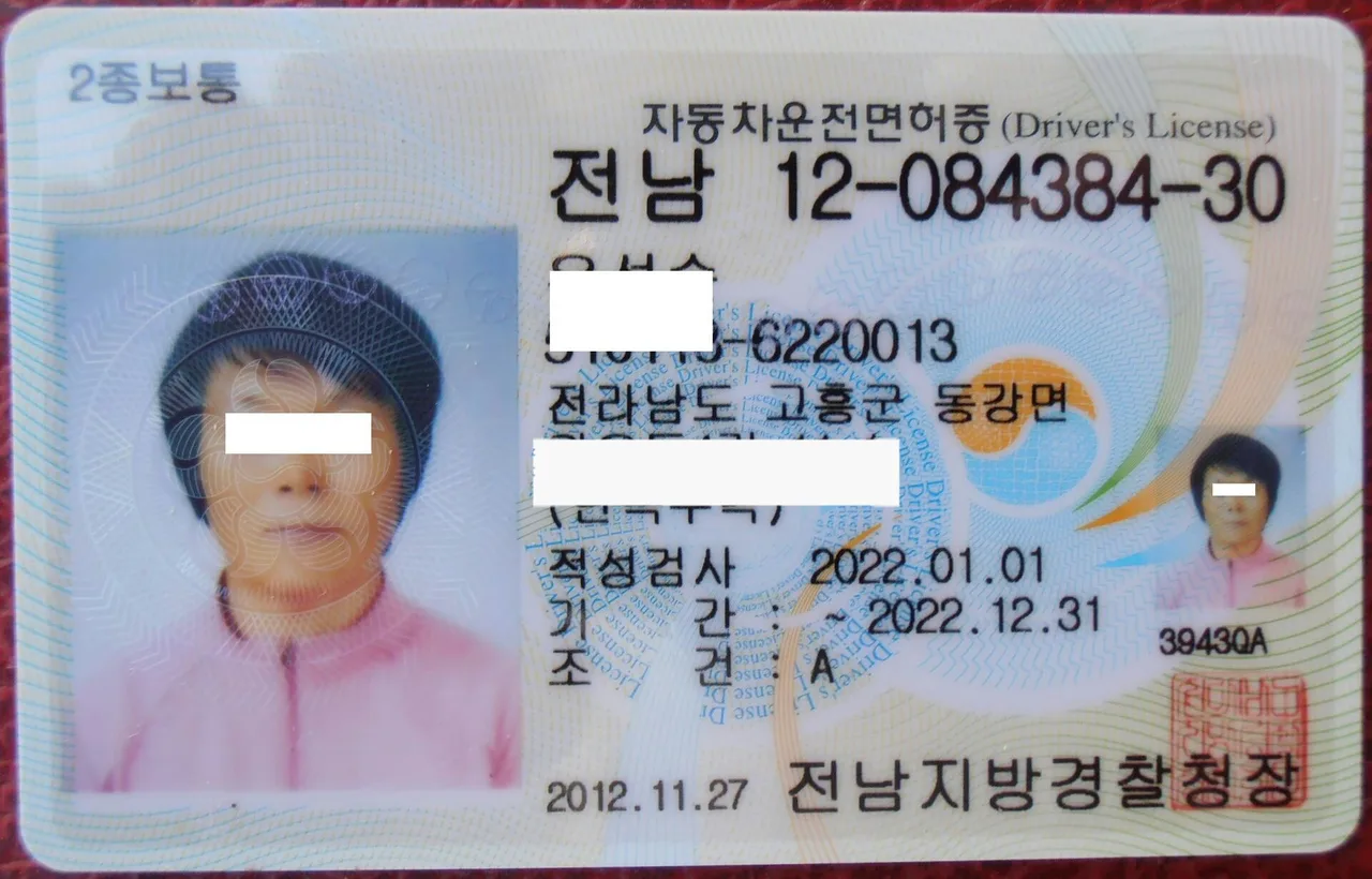 "100만 원짜리 신분증"…운전면허, 지원금 없이는 포기하는 청년들