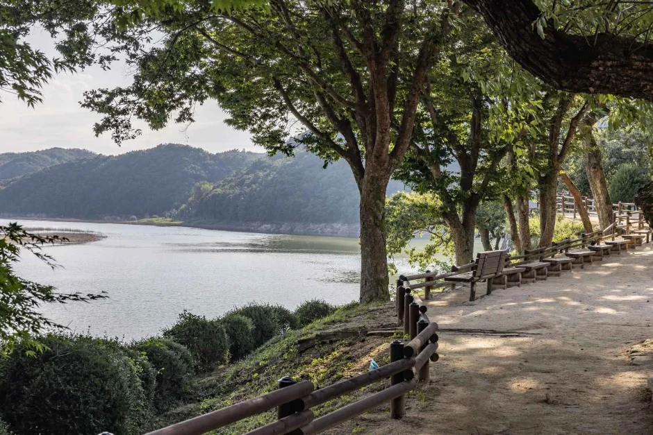 호숫가의 큰 나무 그늘 아래로 산책길과 멀리 산이 보이는 풍경