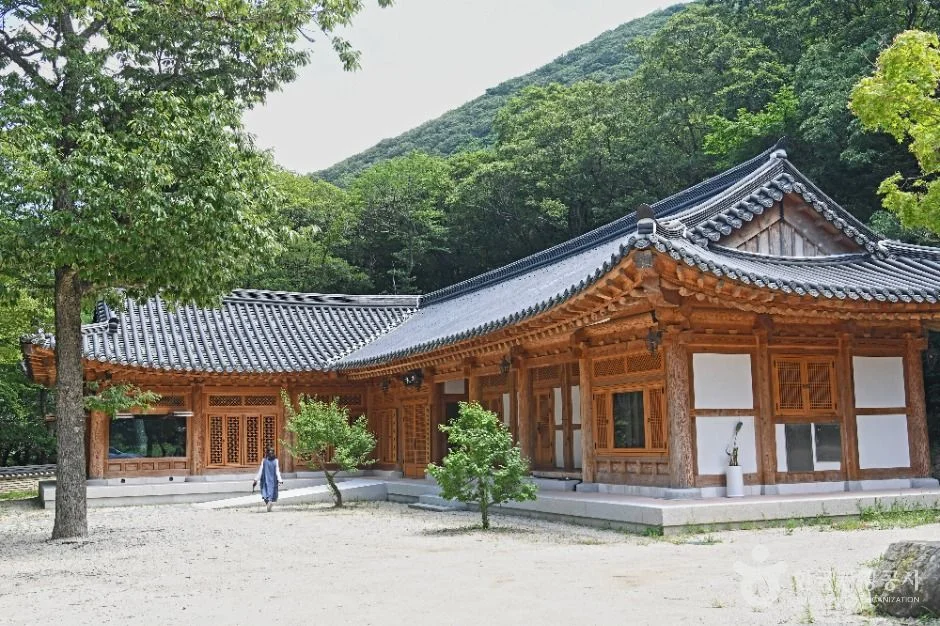 낮은 산을 배경으로 기와 지붕이 이어진 대흥사 경내 건물