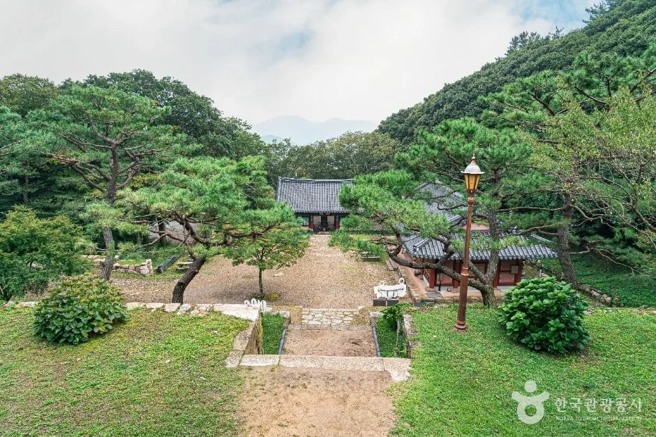 소나무와 정원석이 있는 미황사 경내와 멀리 보이는 전각