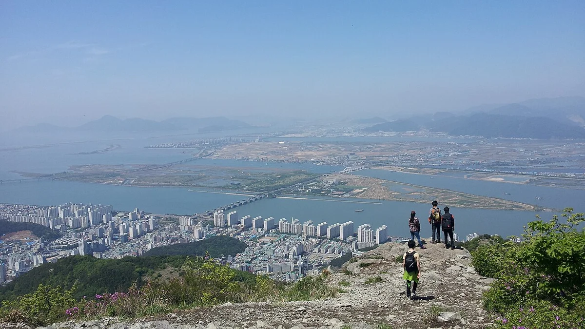 승학산 능선에서 내려다본 을숙도와 낙동강 하구 일대